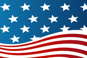 USA Flag617544621 300x200 - USA Flag - Petronas, Flag